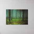 Recherche de jungles photographie Arbre