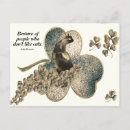 Recherche de aiment cartes postales Chat