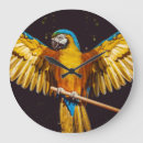 Recherche de perroquet tropical horloges Nature