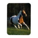 Recherche de painters magnets Peinture