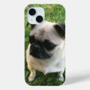 Recherche de puppy iphone coques Carlin