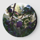 Recherche de prunes horloges Fruit