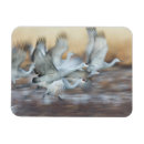 Recherche de ascenseur magnets Grue