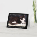 Recherche de chat smoking vœux cartes Minou