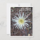 Recherche de de beauté correspondances cartes Nature