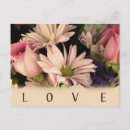 Recherche de marguerite vintage cartes postales Bouquet