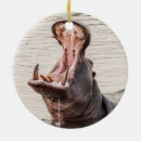 Recherche de hippopotames ornements Noël