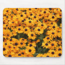 Recherche de marguerite jaune tapis souris Marguerites