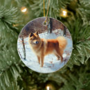 Recherche de spitz ornements Noël