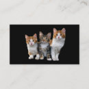 Recherche de dehors cartes visite Chat