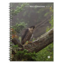 Recherche de faucons carnets Animaux