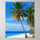 Recherche de cocotier posters Arbre