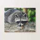 Recherche de faune puzzles Animal