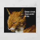 Recherche de fatigue cartes postales Chat