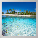 Recherche de poissons exotiques posters Tropical