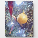 Recherche de sucre de canne plaques Festif