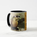 Recherche de photo de loutre tasses Humour