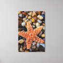 Recherche de toile de roche Plage