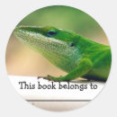 Recherche de bibliothèque autocollants Vert