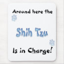 Recherche de shih tapis souris Tzu