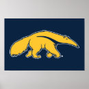 Recherche de anteaters posters Université de californie irvine