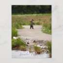Recherche de maman cartes postales Nature