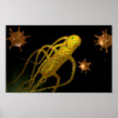 Recherche de microbiologie posters Médecine
