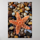 Recherche de nautique posters Sable