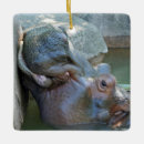 Recherche de hippopotames ornements Vacances