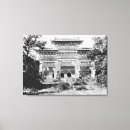 Recherche de chênes photographie Blanc