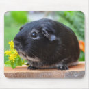 Recherche de poche tapis souris Animaux domestiques