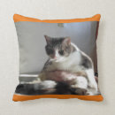 Recherche de chat tigré coussins Gris