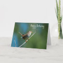 Recherche de roitelet cartes postales Nature