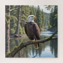 Recherche de aigles puzzles Oiseau