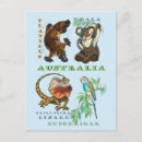 Recherche de koala australie cartes postales Kangourou