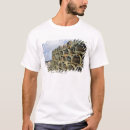 Recherche de casier tshirts Jour