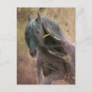 Recherche de frison cartes postales Cheval