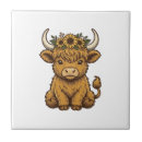 Recherche de veau carreaux Mignon