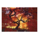 Recherche de arbre tordu posters Feuillage