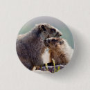 Recherche de marmotte badges Faune