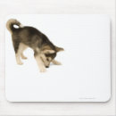 Recherche de enroué tapis souris Animaux