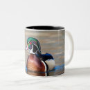 Recherche de étangs tasses Eau