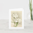 Recherche de oeillets vœux cartes Fleurs
