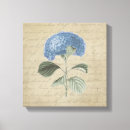 Recherche de bleu hortensia fleur art Botanique