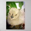 Recherche de bleu chic posters Photographie