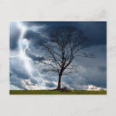 Recherche de arbre solitaire cartes postales Ciel
