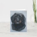 Recherche de caniche vœux cartes Gribouiller