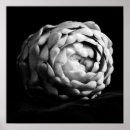 Recherche de up photographie Noir et blanc