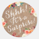 Recherche de chut Surprise