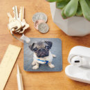 Recherche de pug accessoires Pet